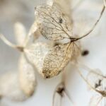 Bitcoin Retests Key $30K Support Zone as Data Highlights