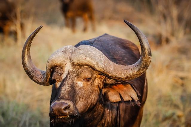 Breaking through barriers: SOL, DOT, and BLEM set to lead the 2025 bull run