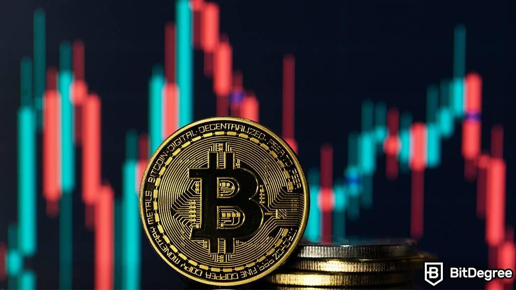Fold’s Bold Move: 1,000+ Bitcoin Treasury Sparks Crypto Curiosity!