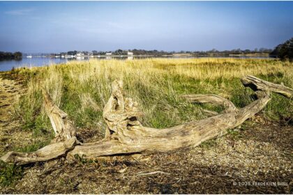 Discover BitLemons, LINK, ETH’s Explosive Growth & Casino Token Surge!