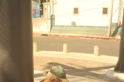 Crypto’s Female Force: Unveiling Trump, Bitcoin, Memes, and ETFs’ Hidden Impact