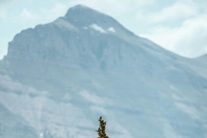 Mt. Gox’s $931M Bitcoin Move: Will Market Crash? Urgent Insights Inside!