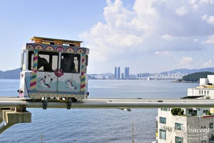 South Korea’s Bold Move: Why Bitcoin Reserve Got a Shocking Rejection