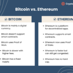 Pi Network: What’s Behind the Sudden Price Freeze?