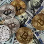 Alpaca Finance’s Four-Year Journey Ends: ALPACA Craters 30%! Inside the Decline