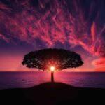 UMA Token Soars: Unveiling the Explosive Growth Behind the Surge