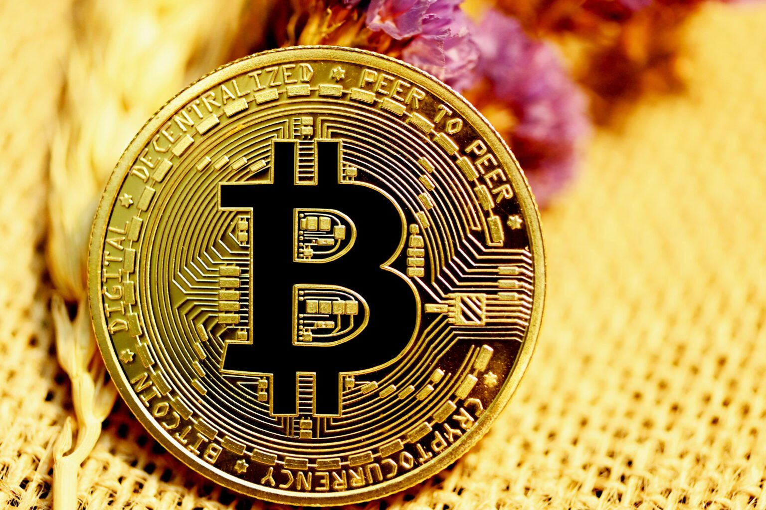 Czech Crypto Crisis: Silk Road’s Bitcoin Donation Sparks Government Scrutiny