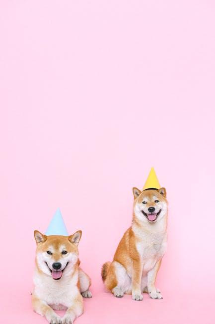 Smart Money Rushes In: Will Shiba Inu Explode Next? 🚀