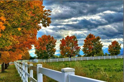 Unlock Sei Network’s Game-Changing Tokenized Credit Fund with Hamilton Lane