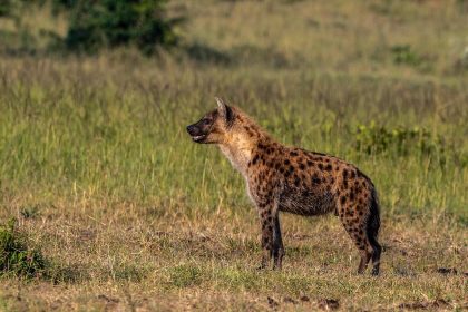 Unveiling the Hidden Impact: Regional Banks’ Credit Jitters Shake US Stocks