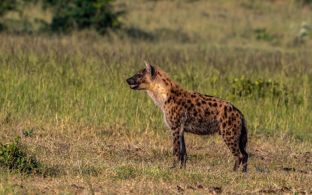 Unveiling the Hidden Impact: Regional Banks’ Credit Jitters Shake US Stocks