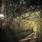 What to expect from rate cut delay as UK inflation steady at 3.8% in September?