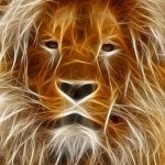 Ethereum price cools but stays strong above fair value