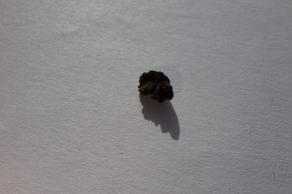 PADRE price plummets after Pump.fun acquisition