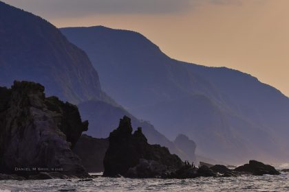 Cardano price risks 20% crash as ecosystem crisis continues