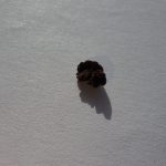 SOL price eyes comeback as Staking Solana ETF inflows jump