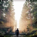 Here’s why Solana price plummeted as SOL ETFs cross $500m