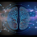 Proof over popularity: The new web3 metric | Opinion