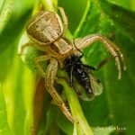 BNB Chain reveals root cause of $13k X account hack