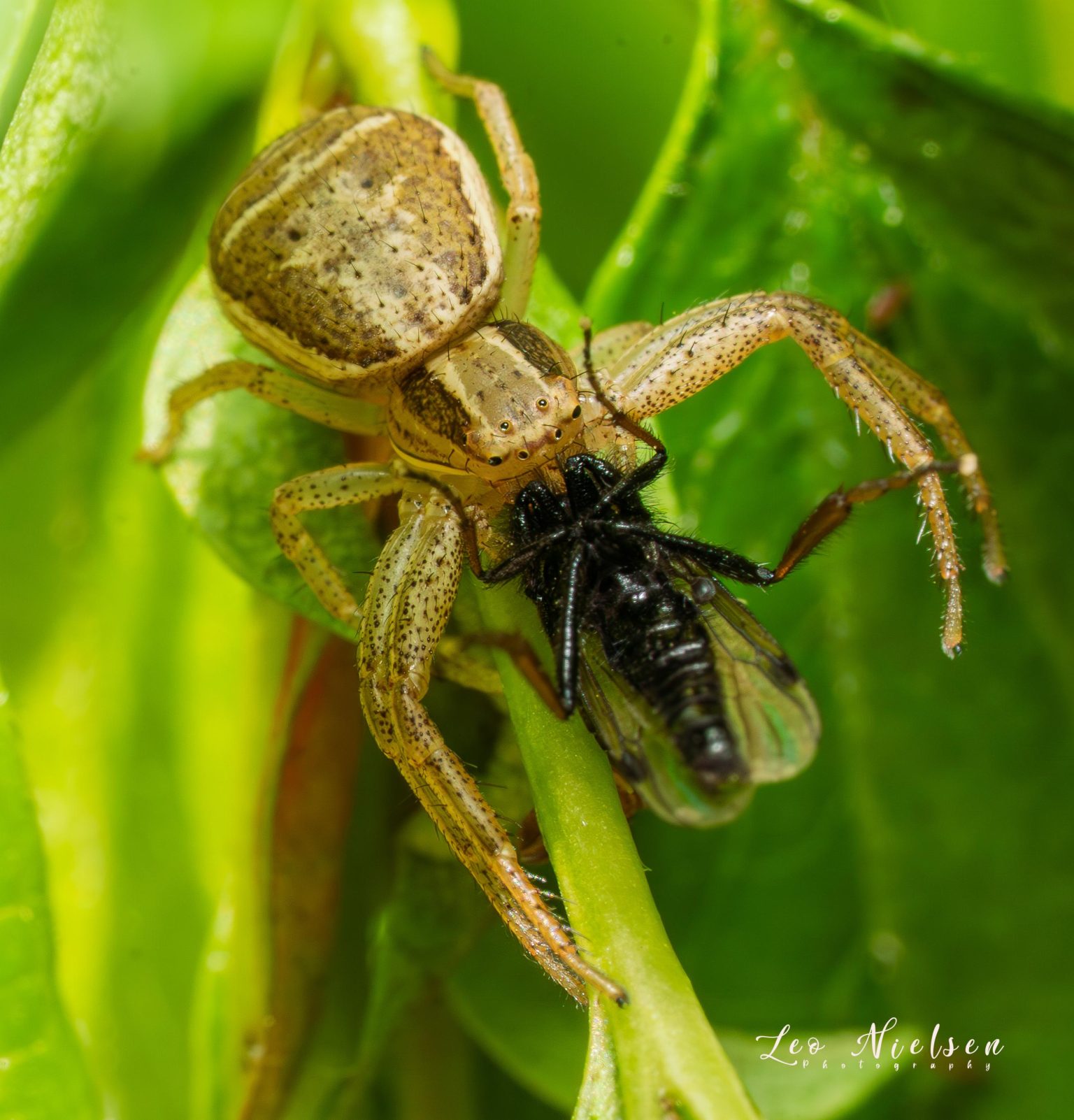 BNB Chain reveals root cause of $13k X account hack